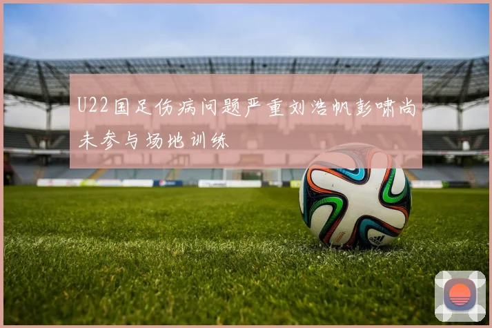 U22国足伤病问题严重刘浩帆彭啸尚未参与场地训练